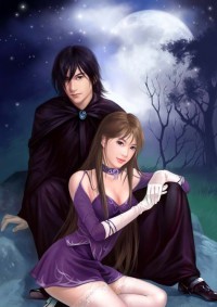 完美2001